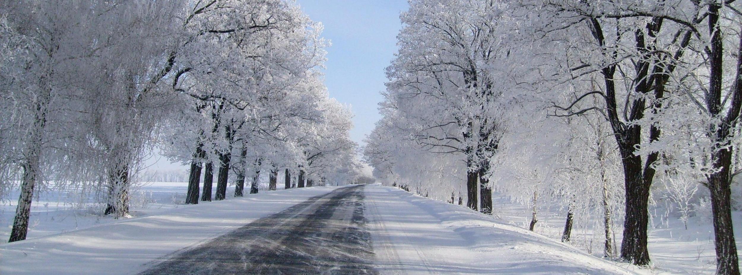 Автобусы онлайн Автобусы онлайн