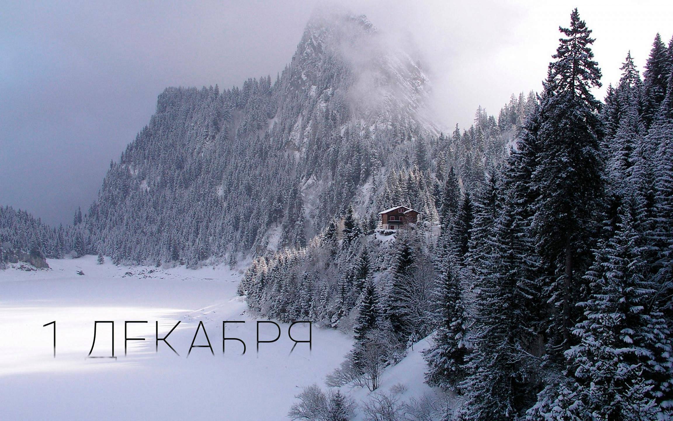 1 декабря - 1 день зимы! 1 декабря - 1 день зимы!