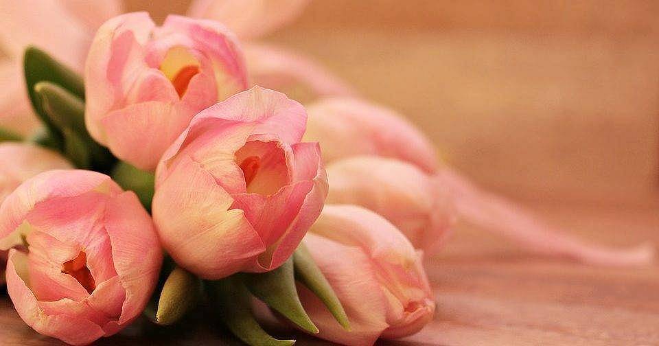 С 8 марта С 8 марта